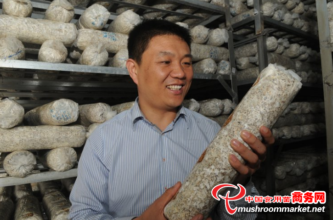 山东淄博：小蘑菇逆势增长 畅销世界