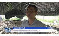 代亮：返乡创业种植食用菌 带动群众共致富