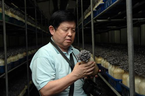 李玉：食用菌也要高科技支撑 新时代的新农业大有可为