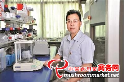 杨小兵：让海岛也能培育食用菌菇