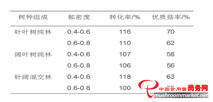 林下栽培榆黄蘑，如何选择林地？