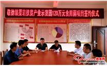 广西：德保县敬德镇渠岩扶贫产业园120万元食用菌项目签约