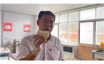 河南镇平：“香菇馒头”打开市场 拓宽群众致富路