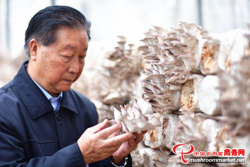 林占熺：让中国菌草植遍“一带一路”沿线