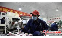西藏日喀则：菌菇飘香结“甜果” 村民致富有盼头