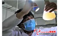 宁夏固原：群众脱贫奔康 食用菌靠前“指挥”