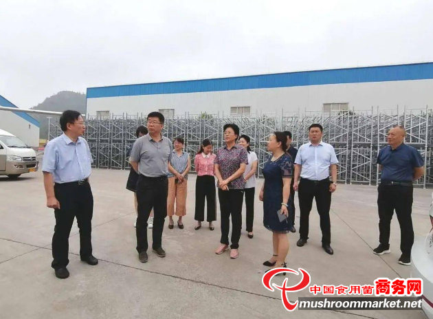 河南省生态环境厅相关领导赴卢氏县调研食用菌产业大气污染治理工作