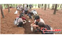 贵州：安龙县林下赤松茸种植助农端起金饭碗 每亩纯利润达5万余元