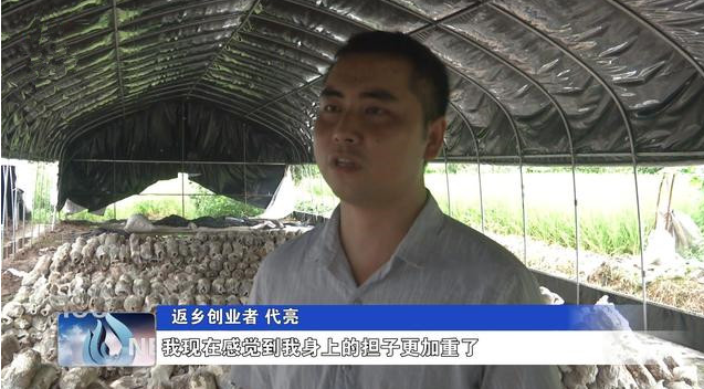 四川：食用菌绘出增收致富的幸福图景