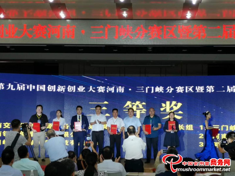 喜报！三门峡九龙公司喜获三门峡市第二届创新创业大赛荣获三等奖