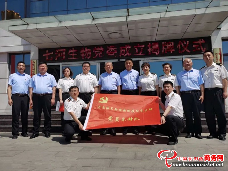 七河生物：出口逆势增长背后的“党建引领”
