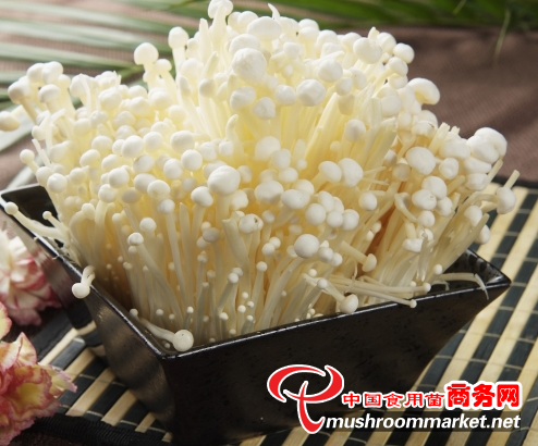 金针菇长黑斑，应如何防治？