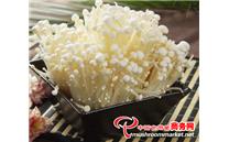 金针菇长黑斑，应如何防治？