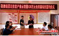 预计实现年销售收入480万元！广西敬德镇120万元食用菌集体经济项目成功签约