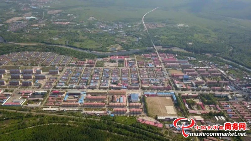 黑龙江漠河市：木耳养殖使职工“动起来，富起来”