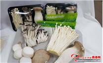 韩国：食用菌等农产品进入中国市场，机遇和挑战并存