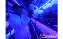 贵州威宁县：食用菌可能成为人类“移民”太空的食物