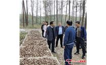 河北沧州市：香菇产业扶贫基地挖出“第一桶金”