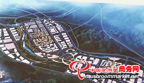 黑龙江省东宁市：高标准规划建设黑木耳特色小镇