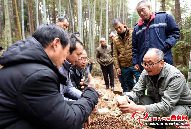 高允旺:把论文写在菇棚里 把创新成果应用到乡村振兴中