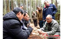 高允旺:把论文写在菇棚里 把创新成果应用到乡村振兴中