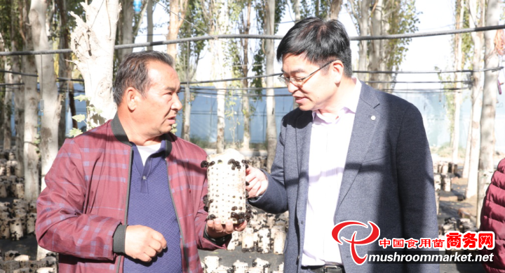 浙江省食用菌协会副会长蔡为明获得“全国科技助力精准扶贫先进个人”荣誉称号