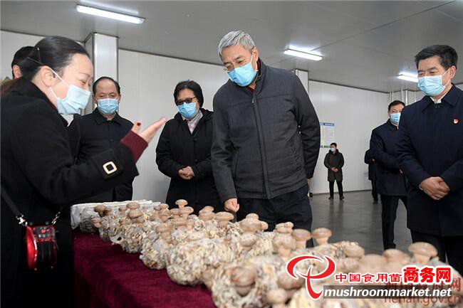 河南省省长尹弘一行赴河南金海生物科技有限公司调研