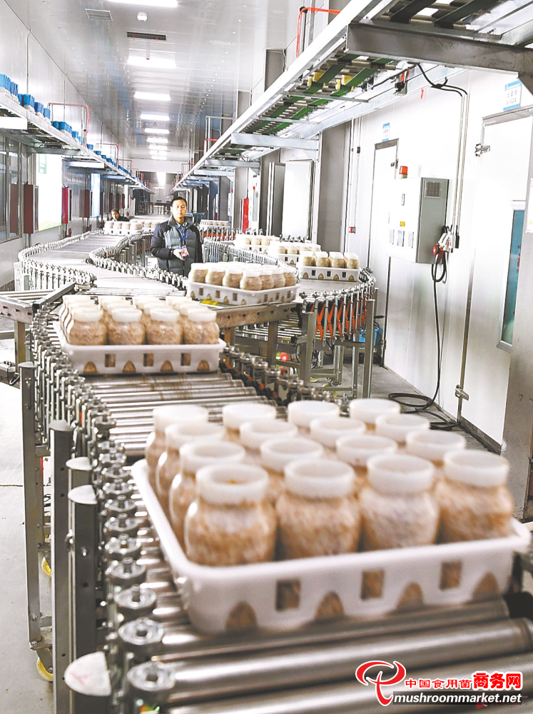 河南省鲜菇坊食用菌高科技产业园新型瓶栽食用菌技术深受欢迎