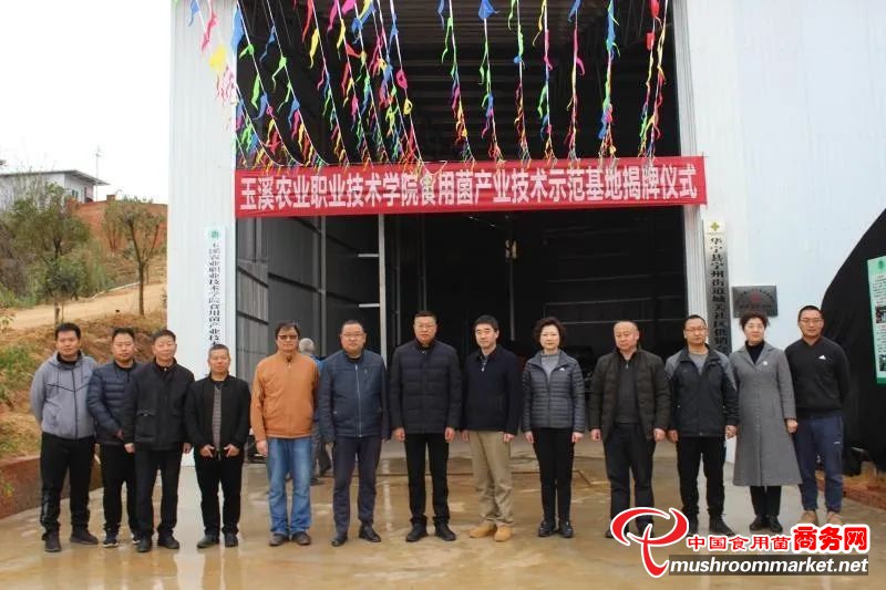 云南省玉溪农职院食用菌产业技术示范基地落户华宁城关社区