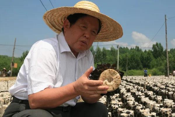 “蘑菇院士”李玉：食用菌强国不是梦