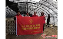 河南省三门峡市农科院食用菌特派团赴灵宝市开展夏季香菇春季管理技术服务