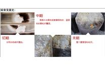 防治食用菌曲霉，大招在这里！