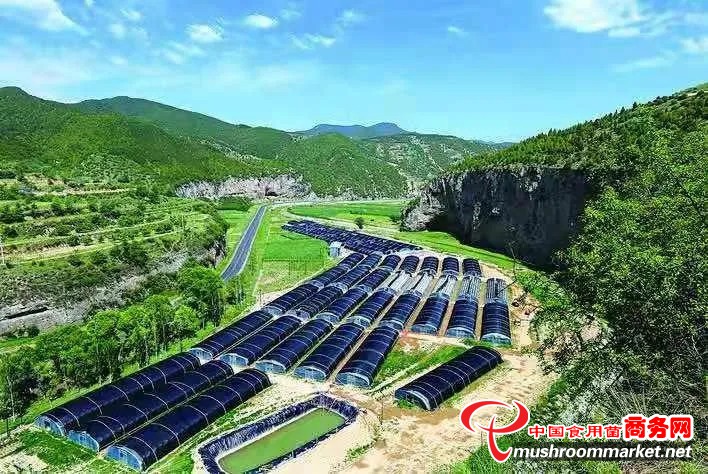 山西省中阳县首期黑木耳产业技能培训班开班