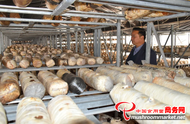 江西上犹县人大代表邝圣海：助力安和乡打造食用菌产业示范乡镇