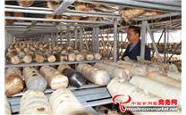 江西上犹县人大代表邝圣海：助力安和乡打造食用菌产业示范乡镇