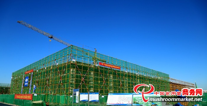 山东省东营市河口区农发菌业点“菇”成金 撑起乡村振兴“致富伞”