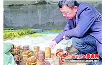 酒泉昊沃生态农业科技有限公司总经理秦志军：温室培育桑黄菌 奏响乡村振兴曲