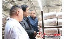 河南省新乡市农科院食用菌研究所选育的28个食用菌新品种申请国家品种权保护