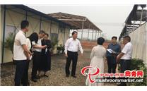 广东省韶关市曲江区区长调研食用菌产业园建设发展情况