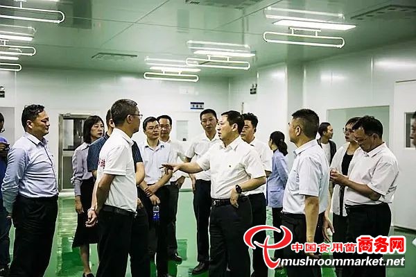 贵州省晴隆县晴秦食用菌农银企产业共同体创新试点项目一期竣工点火仪式顺利举行