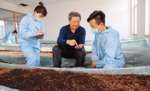 我市利用生物养殖技术让食用菌废弃料“变废为宝”