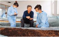 我市利用生物养殖技术让食用菌废弃料“变废为宝”