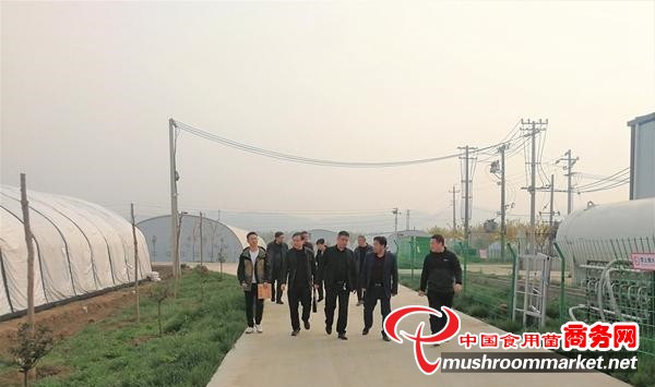 河南省平顶山市验收组前往汝州市对食用菌企业“双改”项目进行验收