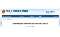 财政部等11部门：继续支持脱贫县统筹整合使用财政涉农资金
