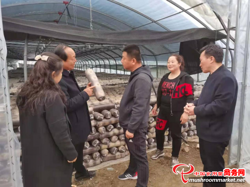黑龙江省汤原县领导与河南世纪香食用菌公司洽谈食用菌深加工项目