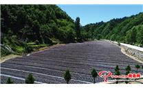2021年第五届柞水木耳文化节在商洛市柞水县小岭镇金米村盛大开幕