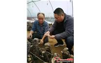 河南省上蔡县：气象服务助力香菇生长