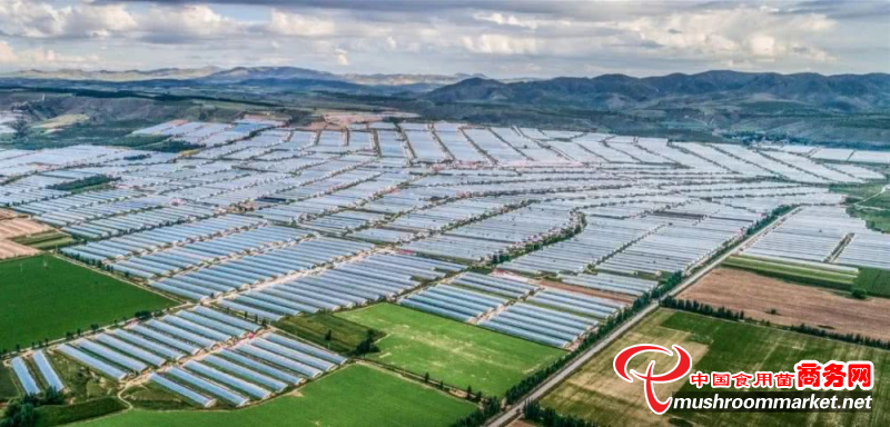 必看！设施农业用地重点政策问答
