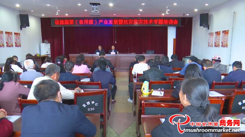 陕西省韩城市农业农村局开展食用菌产业发展专题培训会