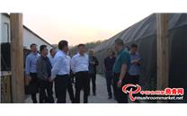 国储林项目建设暨食用菌产业集群发展座谈会在山西省交口县召开
